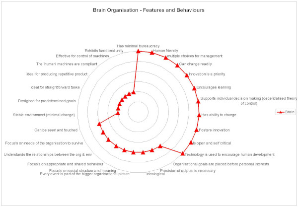 Figure 25 - Characteristics of a Brain Organisation